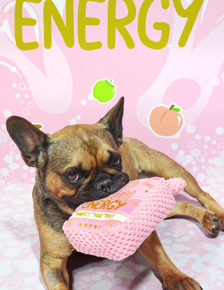 Jouet pour chien Bad B*tch de P.Louise