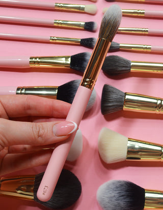 P.Louise #673 Pinceau visage multi-usages moyen