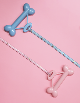 Laisse pour chien P.Louise