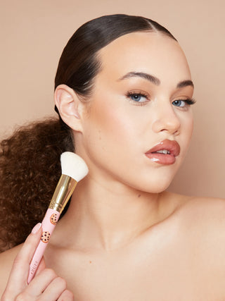 Ensemble de pinceaux P.Louise, l'embarras du choix