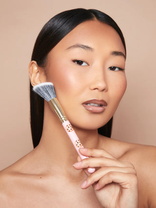 Ensemble de pinceaux P.Louise, l'embarras du choix