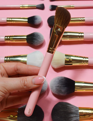 Pinceau P.Louise #637