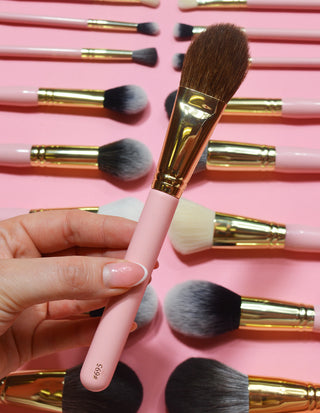 Pinceau P.Louise #695