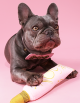 Jouet pour chien de base