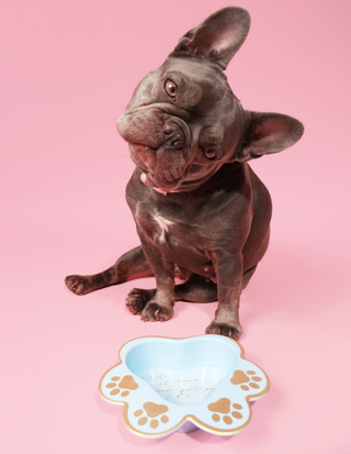Gamelle pour chien P.Louise