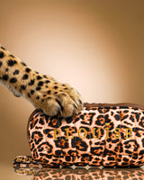 Ensemble de maquillage guépard