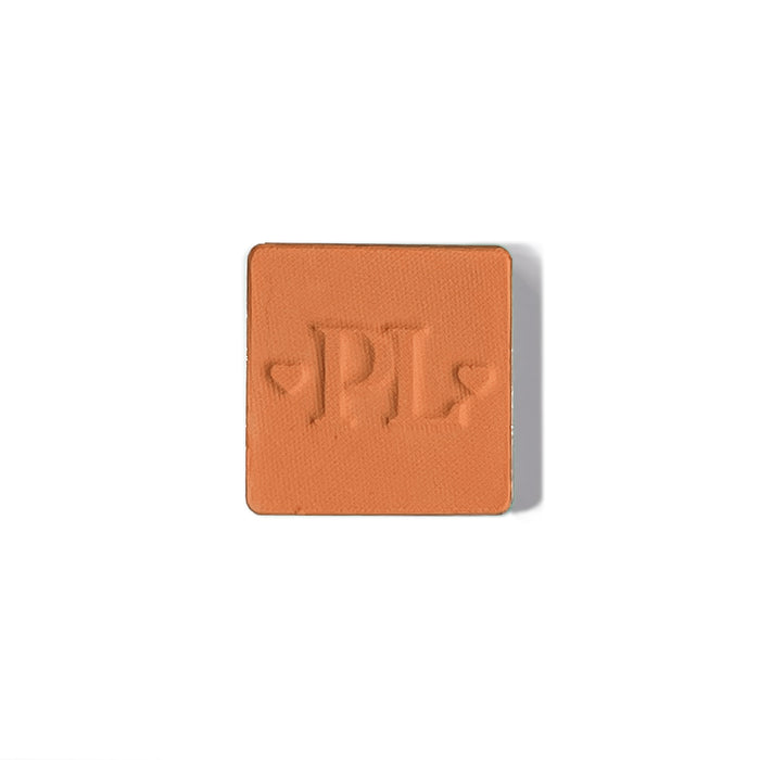 Plateau de fard à paupières simple magnétique Pro