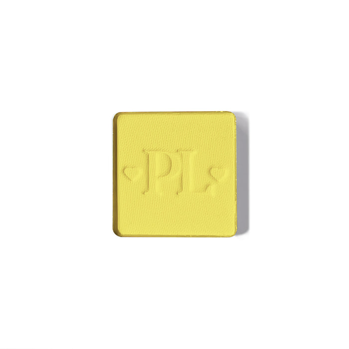Plateau de fard à paupières simple magnétique Pro