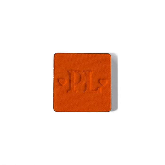 Plateau de fard à paupières simple magnétique Pro